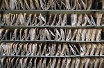 Paper Tiger Protecting your business from Data Breaches