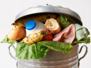 Paper Tiger Controlling Food Waste